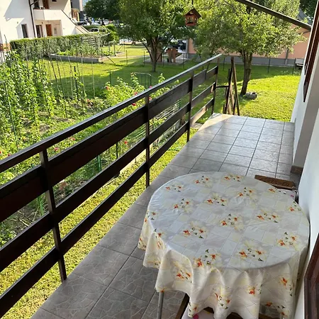 House Aldo Bovec